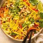 delicious-mango-salad-recipe-with-fresh-cilantro-a-tantalizing-tropical-delight